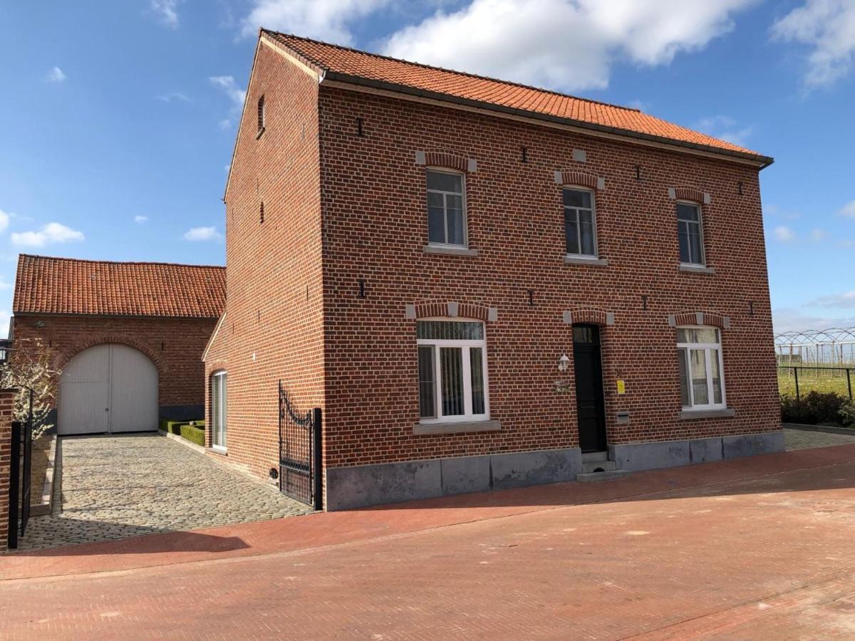 Hoeve De Singel Borgloon Exterior photo